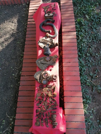 jpg